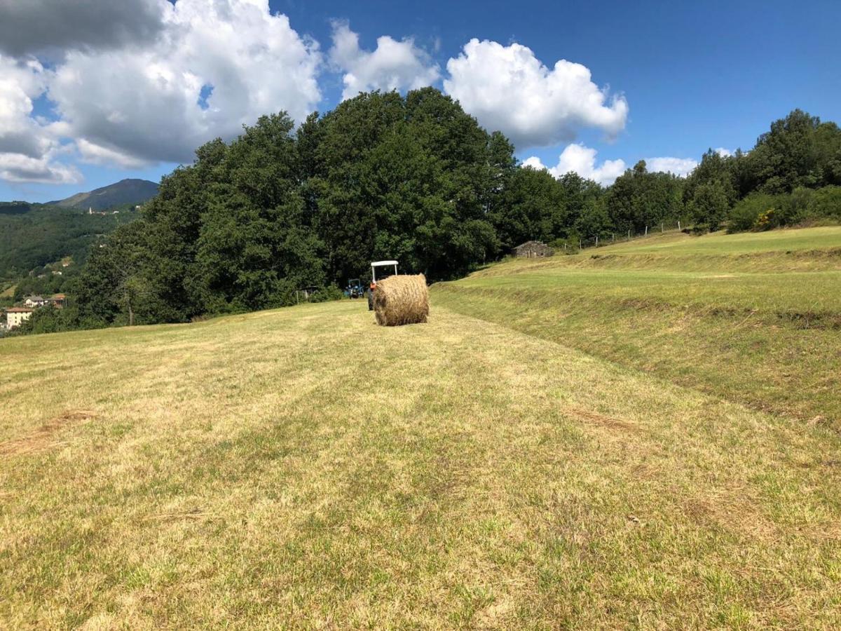 Le Pianelle Villa Varese Ligure Esterno foto